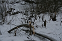 Bieszczady 12.2007 018